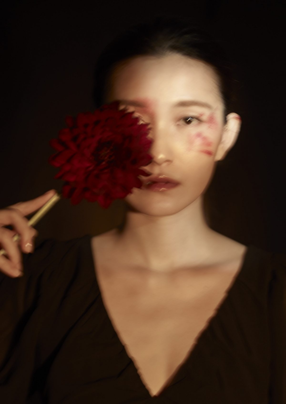 モデル チエホウ CHIEH HO